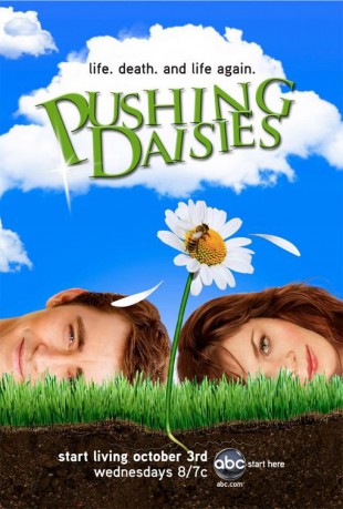 cover Pushing Daisies - Staffeln 2