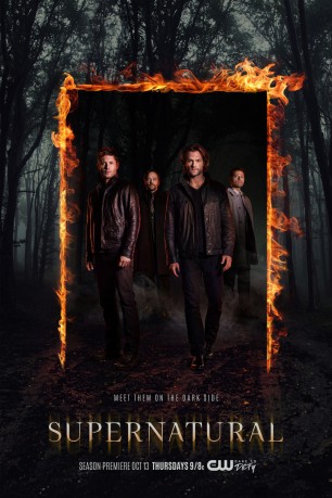 cover Supernatural - Staffeln 6